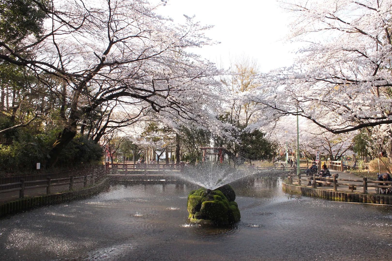 🌹 요노 공원 (Yono Park) 이미지 1